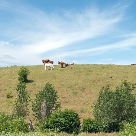 Raija - 400m From The Sea By Interhome Casa de Férias