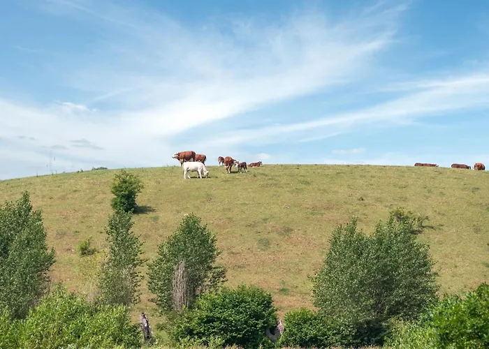 Raija - 400m From The Sea By Interhome 別荘